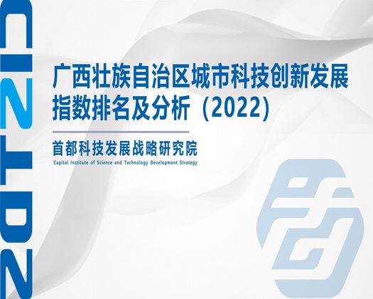 操逼视频入囗大全【成果发布】广西壮族自治区城市科技创新发展指数排名及分析（2022）